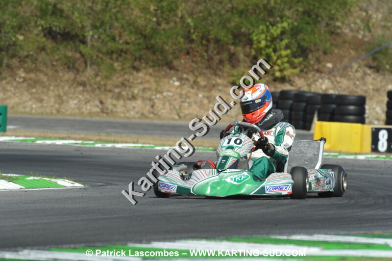 DSC_ (1102).JPG
